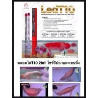 ราคา หลอดไฟ2in1 โชว์ปลาและเทนนิ่งสำหรับปลามังกรแดง T10 4แถว ขนาด 120cm สำหรับตู้48นิ้ว ความยาวหลอด 110cm. (18117949432)