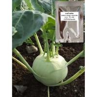 ราคา เมล็ดผักกะหล่ำปมเขียว (Green Vienna Kohlrabi) โคราบีเขียว (1971460137)