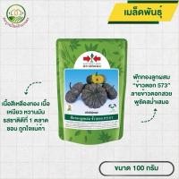 ราคา เมล็ดฟักทองลูกผสม ข้าวตอก 573 ขนาด 100 กรัม ลูกติดดก ผลผลิตงาม เนื้อสีเหลืองทอง ตราศรแดง ปลูกได้ทุกที่และทุกฤดู (52703707890)