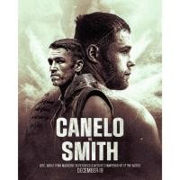 ราคา โปสเตอร์Canelo Alvarez คาเนโล อัลวาเรซ นักมวย Poster ร้านคนไทย รับทำโปสเตอร์ รับทำกรอบตามขนาด (28157899651)