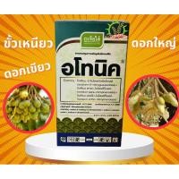 ราคา อโทนิค(ขั้วเหนียว ดอกใหญ่) (25257231028)