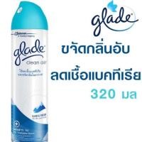 ราคา ชิ้นสุดท้าย เกลดคลีนแอร์เฟรช 320มล. (3220370900)