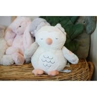 ราคา carter's® Interactive Owl Projector Soother กล่อมนอนนกฮูก มีดรีมไลท์ (22482625709)