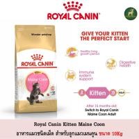 ราคา Royal Canin Kitten Maincoon อาหารแมวแบบเม็ด ลูกแมว เมนคูน ขนาด 10Kg (16828558484)