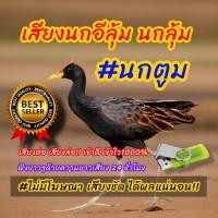 ราคา เสียงนกอีลุ้ม นกตูม เข้าเร็วเข้าไว ตัดเสียงรบกวนแล้วเสียงคุณภาพดีเยียม 010 (29913955082)