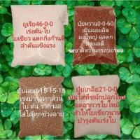 ราคา ปุ๋ยใส่ผัก950กรัม(ประหยัดค่าส่ง) ปุ๋ยผัก ปุ๋ยบำรุงต้นไม้ ปุ๋ย15-15-15 ปุ๋ยยูเรีย46-0-0 ปุ๋ยหวาน0-0-60 ปุ๋ยเกลือ21-0-0 (18482109616)