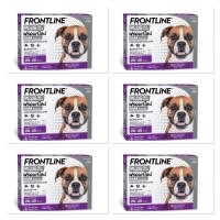 ราคา Frontline Plus ฟรอนท์ไลน์พลัส สำหรับสุนัขน้ำหนัก 20-40 กก. (3 หลอด x 6 กล่อง) exp. 7-2027 (2064271638)