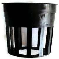 ราคา Papamami Pots Round Black Plastic กระถางพลาสติกกลมสีดำ 1 นิ้ว 1ใบ (293896142)