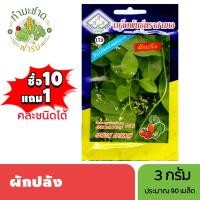 ราคา 3A (ซื้อ10แถม1) เมล็ดพันธุ์ ผักปลัง ขนาด3กรัม ประมาณ90เมล็ด CEYLON SPINACH ผักปลัง ผักปั่ง เมล็ดพันธุ์พืช เมล็ดผัก (24122431193)