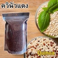 ราคา Q จัดโปร ควินัวเเดง เม็ดควินัว Quinoa ควินัว ควินัว เมล็ดควินัว เม็ดควินัว ออร์แกนิคแท้ ควินัว คีนัว ครีนัว Red Quinoa (56502532455)