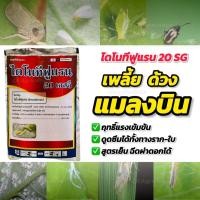ราคา ไดโนทีฟูแรน (แรงกว่าสตาร์เกิล 2 เท่า) ไดโนทีฟูแรน 20 SG% ปราบแมลงหวี่ขาว เพลี้ยไฟ เพลี้ยกระโดด แมลงบิน 100 กรัม ซิกม่า (24975993099)