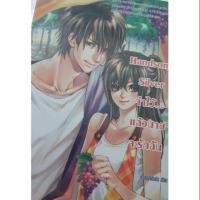 ราคา นิยายแจ่มใส มือสอง Handsome Sliver จำไว้.แล้วนายจะรักฉัน (6624979285)