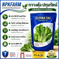 ราคา กวางตุ้ง ปทุมรัตน์ [ ขนาด 500 กรัม ] หมดอายุ 03/2570 ลอตใหม่ งอกดี โตเร็ว แข็งแรง กอใหญ่ สีเขียวสด (43025884359)