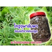 ราคา สมุนไพรโกฏจุฬาลัมพา โกฏจุฬาลัมพา แท้จากคนปลูกโดยตรงไร้สารพิษตกค้าง ดินเราไม่มีพิษมา10ปี(100กรัม)อัดแน่นปัก 2เดือนไม่หมด (14094232890)