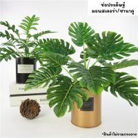 ราคา ช่อต้นไม้ประดับประดิษฐ์ ซานาดู ประดิษฐ์ ต้นไม้ประดิษฐ์ ตกแต่งสวน แต่งกระถาง ตกแต่งบ้าน (44074934399)