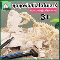 ราคา ชุดขุดฟอสซิลไดโนเสาร์ ขุดฟอสซิล ฟอสซิลไดโนเสาร์ ของเล่นส่งเสริมการเรียนรู้ เล่นสนุก ฝึกสมาธิ V87 พร้อมส่ง (25581417236)
