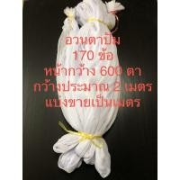 ราคา อวนตาปั้ม 170 ข้อ อวนตาถี่ ตาข่ายตาถี่ อวนกุ้งเคย กว้าง 600 ตา แบ่งขายเป็นเมตร (3222700111)
