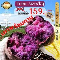 ราคา Oishi-Freshมันหวานญี่ปุ่นปลูกไทย เพอเพิ่ลสวีท เผาพร้อมทาน เนื้อเหลือง หอม หวาน จัดส่ง 24 ชม. (27108118310)