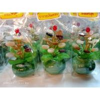 ราคา ต้นหยกพม่า ยอดทับทิมแดง (10776391143)