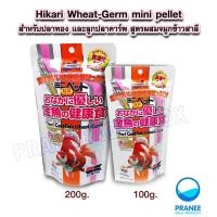 ราคา Hikari Goldfish Wheat Germ mini pellet 100-200 g. สำหรับปลาทอง และลูกปลาคาร์พ สูตรผสมจมูกข้าวสาลี (1792671731)