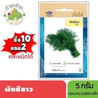 ราคา เจียไต๋ (ซื้อ10แถม2) เมล็ดพันธุ์ ผักชีลาว ขนาด5กรัม ประมาณ3,300เมล็ด Dill ผักจี เมล็ดพันธุ์พืช เมล็ดผัก ปลูกผักสวนครัว (5717913602)