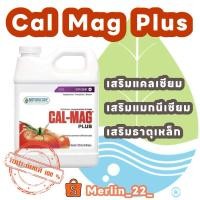 ราคา Cal-mag Botanicare CalMag Plus เสริมแคลเซียม และแมกนีเซียม Cal mag Micronutrients ของแท้100% ขนาดแบ่งขาย (23315610168)