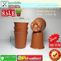 ราคา กระถางแคคตัส ปากแตรทรงญี่ปุ่น ขนาด 2.5 นิ้ว สีอิฐ 1 ชุด 10 ใบ กระถางใส่ไม้อวบน้ำทรงญี่ปุ่น กระถางใส่ต้นไม้ กระถางพลาสติก (8485846684)