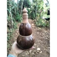 ราคา แก้วกะลามะพร้าว แก้วกะลามะพร้าวไม่ซ้ําใคร (45702559999)