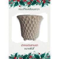 ราคา กระถางปากแตรสามขาลายรังผึ้ง (14526237903)