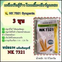 ราคา เมล็ดพันธุ์ข้าวโพดเลี้ยงสัตว์ NK7321 เม็ด 3 หุน ขนาด 10 กิโลกรัม ผลผลิตดี สีสวย (25109121079)