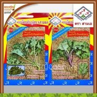 ราคา เมล็ดพันธุ์คะน้า คะน้าเคล คะน้าใบสลัด Kale 3A (แบบซอง) เมล็ดคะน้าไดโนเคล เมล็ดผักเคลเขียว เมล็ดพันธุ์ผักสวนครัว ตราสามเอ (13189096811)