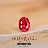 ราคา Red Spinel 0.35 ct. สปิเนลสีแดงสด สวย เข้ม มีประกาย (24527094356)
