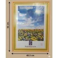 ราคา กรอบรูปสีส้ม56x40.5cm. กรอบรูป56x40.5cm.สีส้ม กรอบรูปแขวนผนัง แต่งบ้านสไตล์มินิมอล (52356086302)