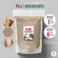 ราคา หินฟอสเฟต Rock Phosphate เร่งการเกิดราก ส่วนผสมดินปลูกแคคตัส&ไม้อวบน้ำ (53451998412)