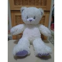 ราคา Build-A-Bear Workshop Hannah Montana Bear Plush (29778081932)
