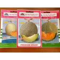 ราคา เมล็ดพันธ์ุเมล่อนหวานๆจร้าตราตะวันต้นกล้า ราคาซองละ 20 บาท (3729499238)