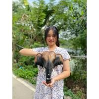 ราคา หัวช้างแขวนผนัง หัวช้างแกะสลัก (21704457512)