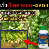 ราคา ไซโตไคนิน ฮอร์โมนพืชกระตุ้นการแตกตาพืช 100 ซีซี ร่งแตกตาดอก เร่งแตกยอดใบ เร่งขยายใบ ไซโตไคนินพืช ส่งเสริมการเจริญเติบโต (25351894713)