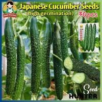 ราคา เมล็ดพันธุ์แตงกวา เมล็ดแตงกวาญี่ปุ่น Japanese Cucumber Seed 30เมล็ด/แพ็ค ของแท้ 100% ปลูกง่าย อัตรางอกสูง ผลผลิตสูง (57360409830)