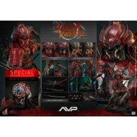 ราคา Hot Toys AC06 Alien vs. Predator - 1/6th scale Akaoni Samurai Predator [Special Edition] (49500079836)