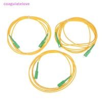ราคา Coagulatelove SC /APC-SC/APC Fiber Optical Patch Cord Single Mode 9/125 G652D LSZH 1m2m3m Fiber Optic Jumper Cable [HOT] (54757944166)