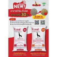 ราคา CF อาหารไก่ชน ซีเอฟ ขนาด30กก.(รุ่นใหม่) (48400577762)