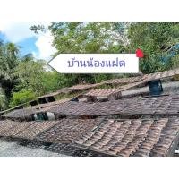 ราคา ปลาดุกร้าปากพนังร้านน้องแฝด (16452518253)