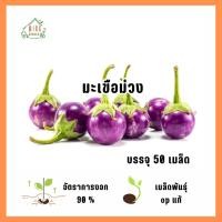 ราคา เมล็ดพันธุ์มะเขือม่วง 50 เมล็ด (43918353909)
