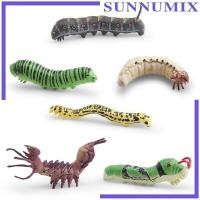 ราคา [ซันนิมิกซ์] โมเดลตัวอ่อนจําลอง 3 มิติ 6 ชิ้น, การตกแต่งโมเดลการศึกษา, เค้าโครงขนาดเล็ก, ของเล่นหนอนผีเสื้อ, ของเล่นการเรียนรู้ความรู้ความเข้าใจ (26794436747)