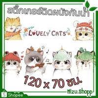 ราคา ☀️ถูกมาก☀️ สติ๊กเกอร์ติดผนัง ลายแมว กันน้ำ สำหรับร้านขายสัตว์เลี้ยง ห้องนอน เลี้ยงแมว (ได้รับ7-10วัน) (24301362175)