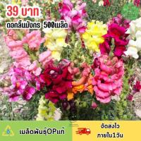 ราคา ดอกลิ้นมังกรคละสี500เมล็ด (22366955762)