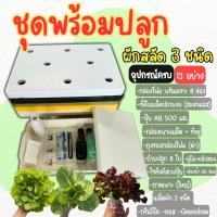 ราคา ชุดปลูกผักอุปกรณ์ครบพร้อมปลูก ชุดปลูกผักไฮโดรโปนิกส์ ชุดปลูกผักสลัด (**แถมเมล็ดผัก 3 ชนิด**) (56561012211)