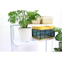 ราคา Shelf ชั้นวางขั้นบันได 4 ชั้น สีขาว 120x160x120cm ST201015-24(40cm) (20764012870)