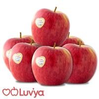 ราคา แอปเปิ้ลแอมโบรเชีย แพค 6 Ambrosia Apple Pack 6 [หมายเลขบาร์โค้ด 0000034889022 ] สินค้าคุณภาพดี คัดสรรอย่างตั้งใจ (47103178335)